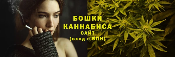дурь Новодвинск