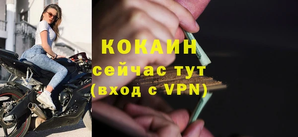 дурь Новодвинск