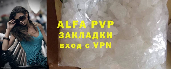 амф Новозыбков