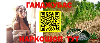 прущий лед Жуковский