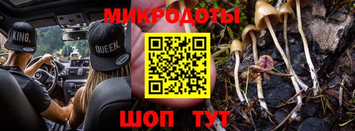 COCAIN Отрадное