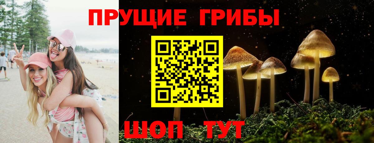 Галлюциногенные грибы Cubensis Отрадное